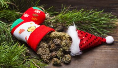 I’ll Be Stoned for Christmas • The Austin Chronicle