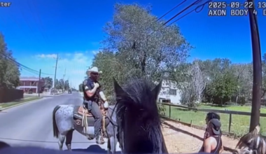 Lubbock Police Department’s Mounted Patrol Unit goes viral chasing suspect on horseback