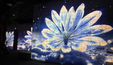 Dallas Arboretum adds immersive light installation for holidays – NBC 5 Dallas-Fort Worth