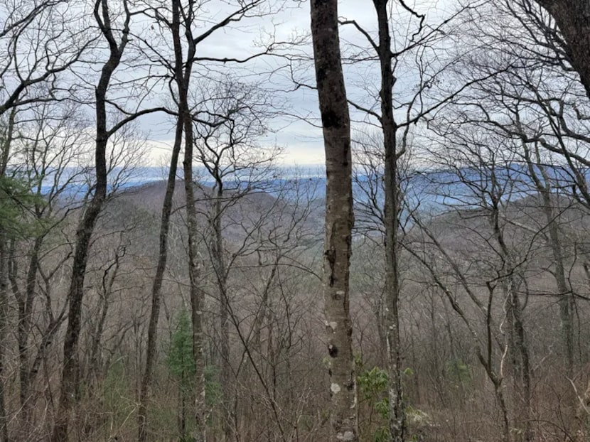 A picture of the North Georgia terrain near Blood Mountain during the search for Charles Hosch.