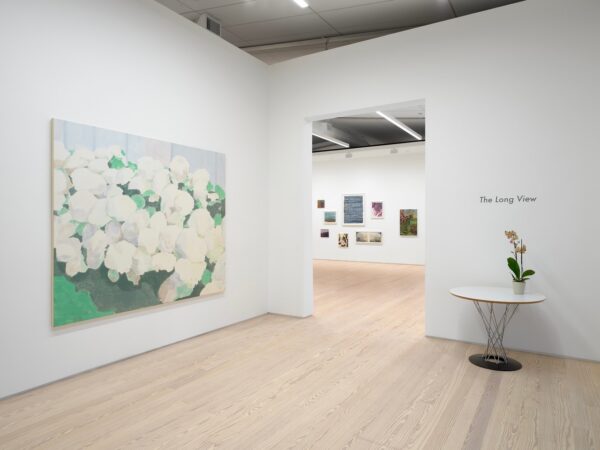 A freshly renovated gallery space with a large painting in foreground accompanied by a table with orchids in a planter and an exhibition title, "The Long View" on the wall above.