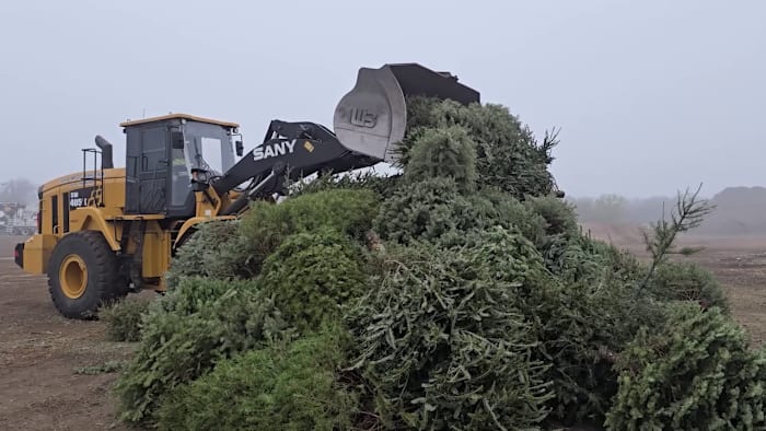 Here’s how to recycle Christmas trees, lights in San Antonio