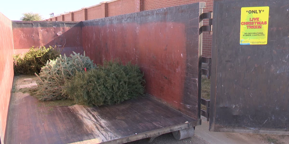 Lubbock offers Christmas tree recycling through January 13