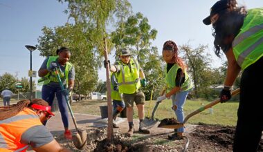 Want to clean your neighborhood? Dallas residents can borrow lawn equipment for projects
