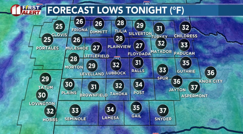A cold start, but rather mild, for the start of 2026.