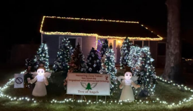 Angleton woman honors drunk driving victims with Christmas Trees of Angels
