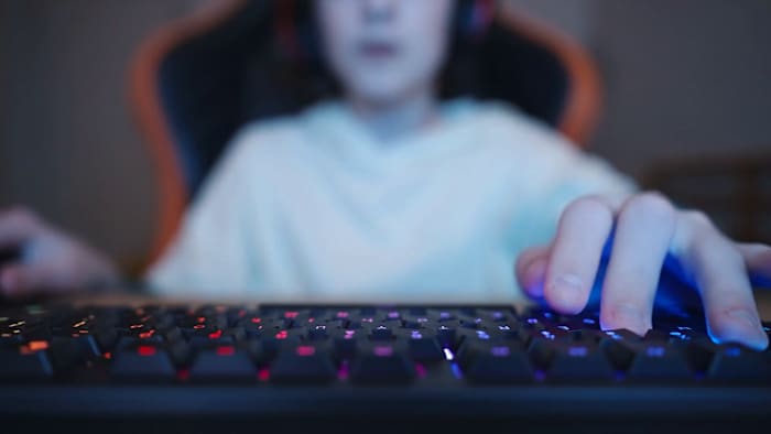 FBI warns of ‘modern-day terrorism’ as Texas-born extremist group targets youth online