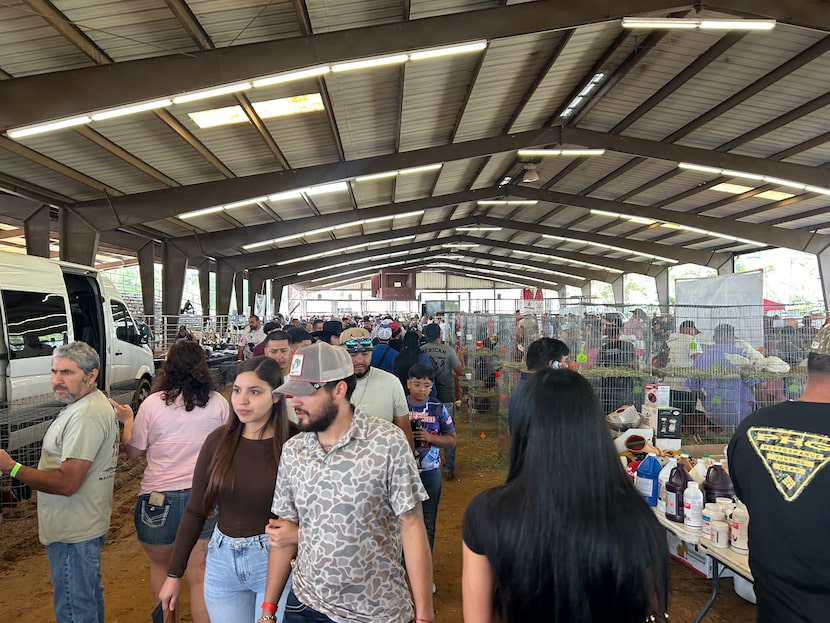 Visitors browse vendors at El Gallo Show Worldwide on Nov. 22, 2025.