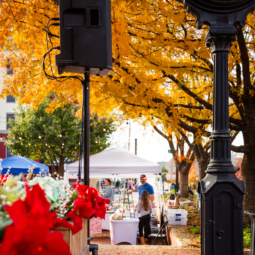 Sponsored pots: Mistletoe Market 2025. Photo by Jennifer Shertzer.