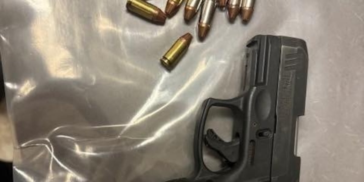 1 arrested after road rage shooting in Houston County