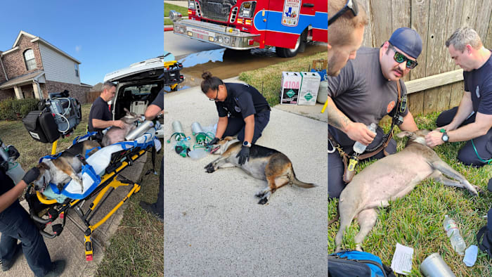 2 trapped dogs rescued from house fire, revived by Sheldon firefighters
