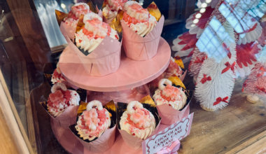 Pinkitzel cupcakes