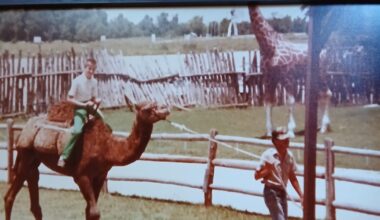 What led to the International Wildlife Park’s downfall? Curious Texas answers