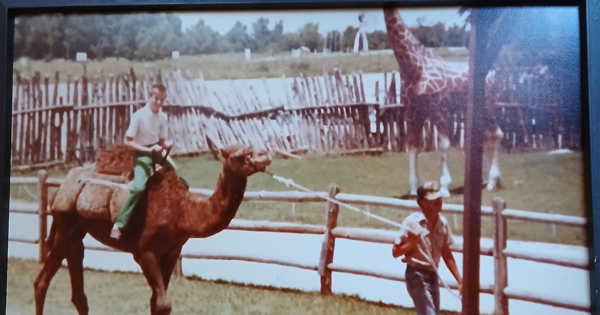 What led to the International Wildlife Park’s downfall? Curious Texas answers