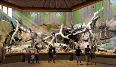 Congo Falls, Holiday Tamale Festival, River of Lights