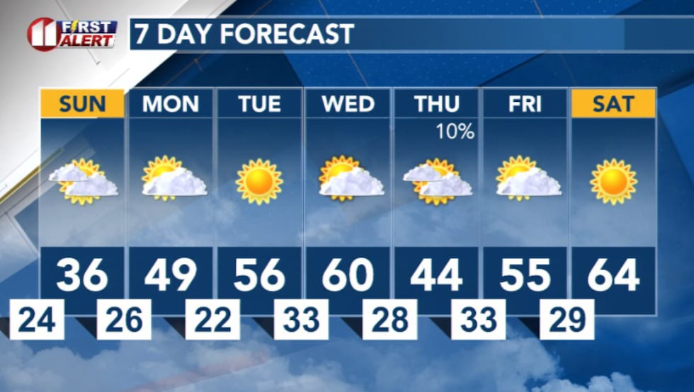 7 Day Forecast