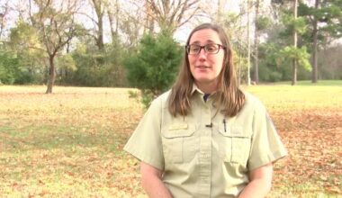 Texas A&M Forest Service offers safety tips to avoid a holiday catastrophe