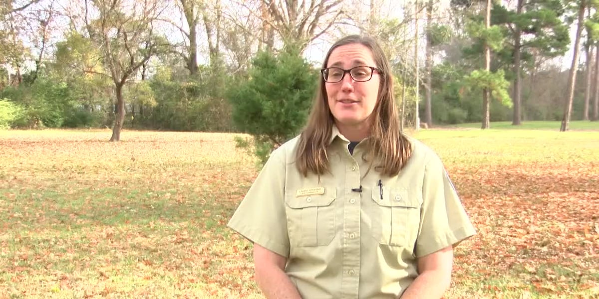 Texas A&M Forest Service offers safety tips to avoid a holiday catastrophe