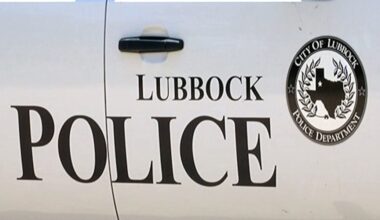 Juvenile in custody after crashing stolen vehicle at 82nd & Frankford