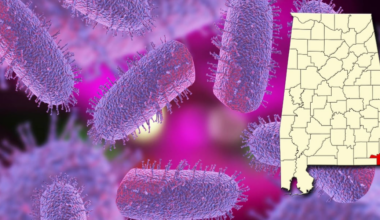 Third case of rabies confirmed in Houston County