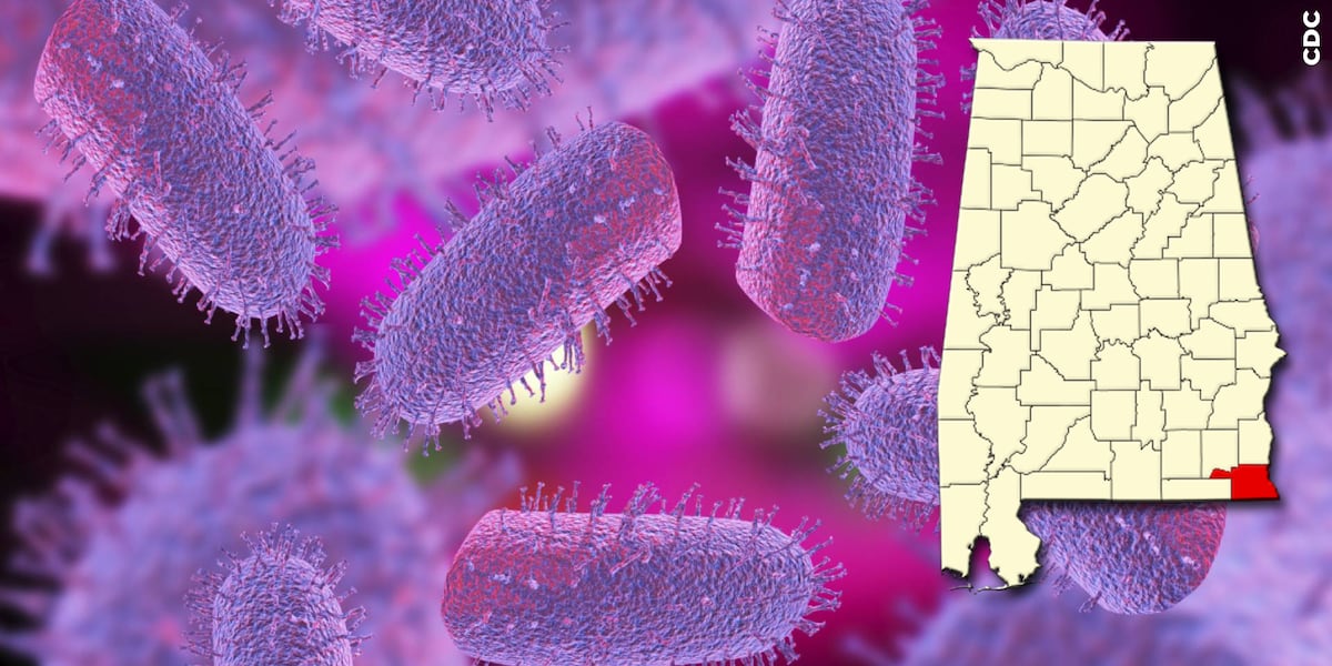 Third case of rabies confirmed in Houston County