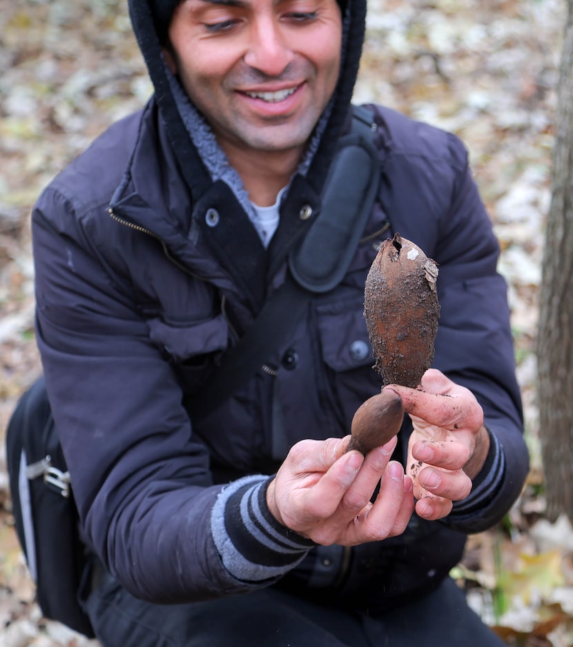Sebastian Tabibi explains the development of Texas star mushrooms to foraging students on...
