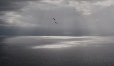 Cloudy start to the weekend for North Texas. When will the sun return?