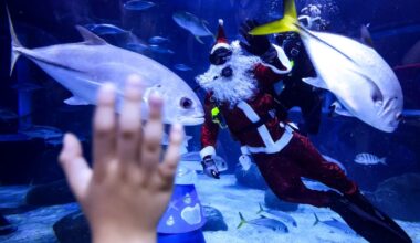 What Happens After Christmas Eve?