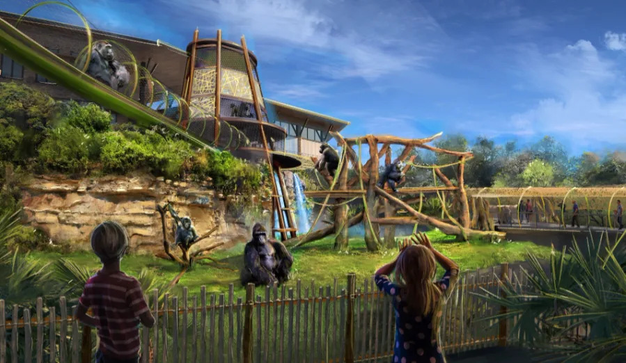 The San Antonio Zoo opened its new habitat for gorillas, Congo Falls, on Saturday, which features three distinct habitats, lush landscaping, dynamic water features, and enrichment zones. (San Antonio Zoo Rendering)