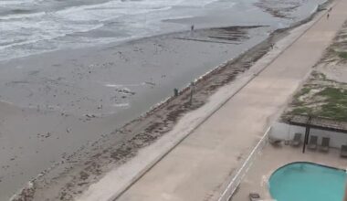 TIRZ board approves millions but what about the island seawall project?