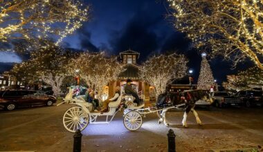 Top 10 Things To Do This Week In Plano, Frisco, The Colony And Beyond [Dec. 15-18, 2025] - Local Profile