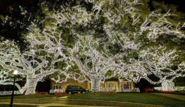 A tree in front of a home is strung with millions of lights