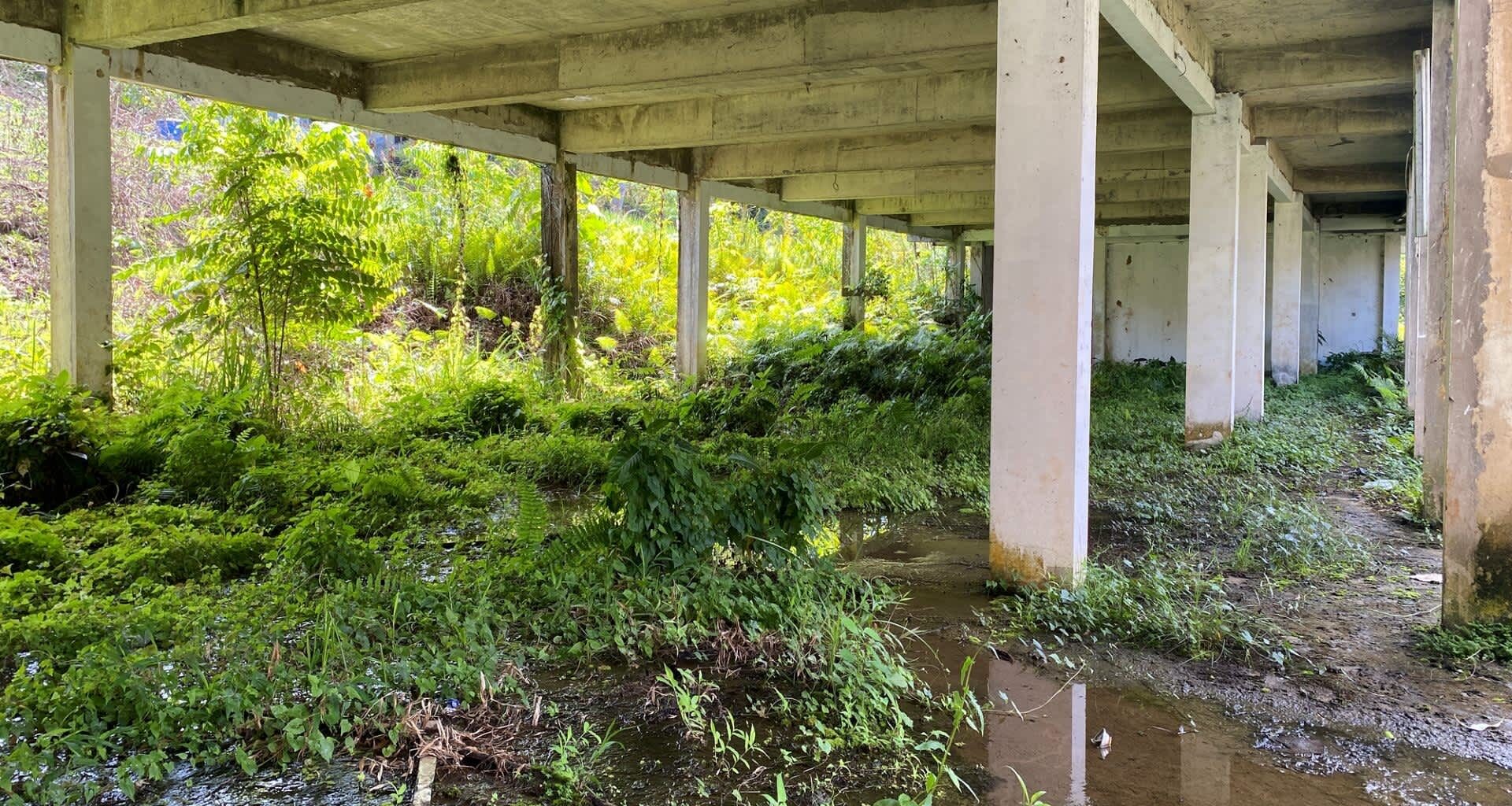 This TikTok video by an Austin city council member showcases how conservation grazing with goats can benefit public lands.