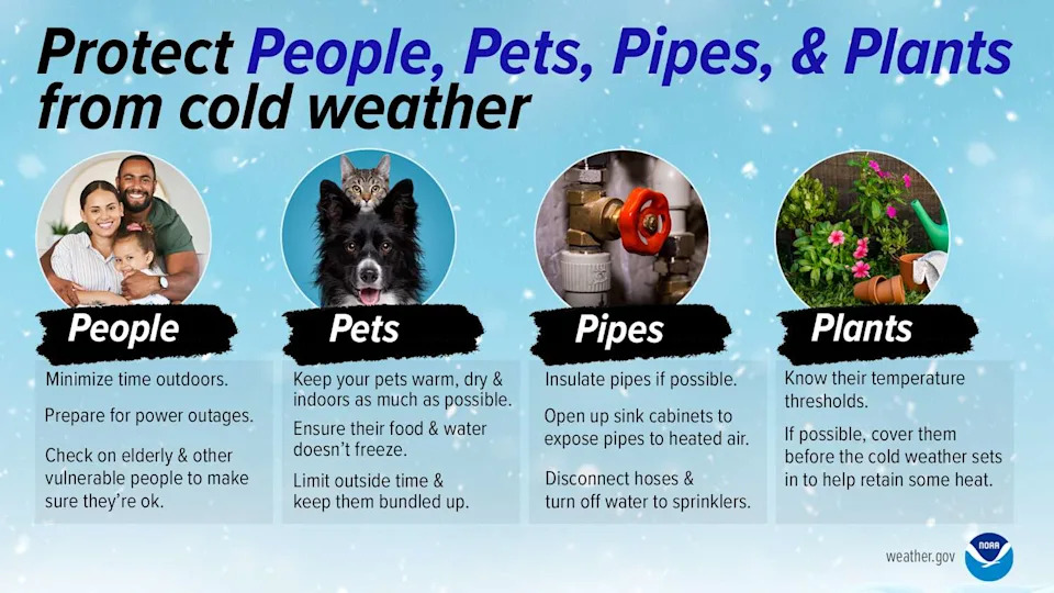 Are you prepared for a possible polar plunge? As temperatures drop, remember to protect the 4 P's: People, pets, pipes, and plants. (National Weather Service)