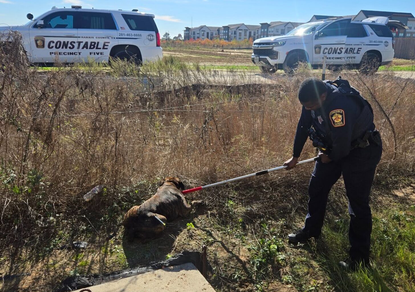 Water pours through a storm drain along Buffalo Bayou in downtown Houston