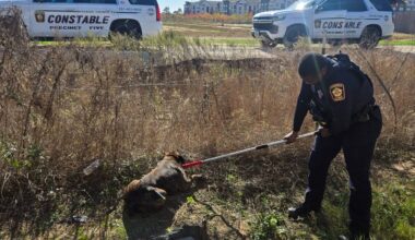 Water pours through a storm drain along Buffalo Bayou in downtown Houston