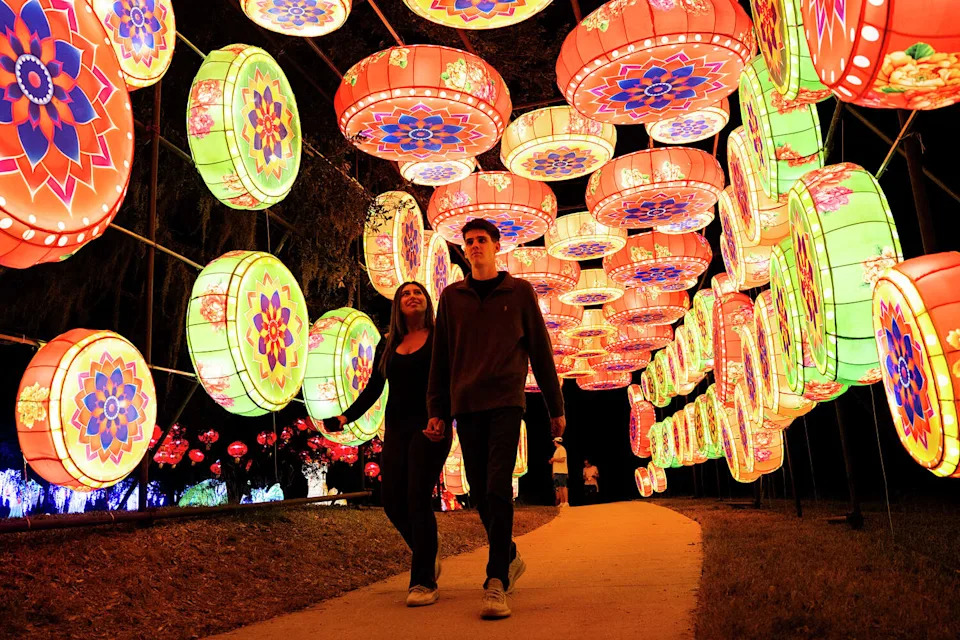 Radiant Nature, presented by H-E-B, at the Botanical Gardens in Houston., Sunday, Nov. 16, 2025. The interactive holiday light display opened with several new installations among the more than 50 along the trail. The display draws inspiration from animal and plant life and includes a soundtrack as you walk the almost mile-long path. (Jason Fochtman/Houston Chronicle)