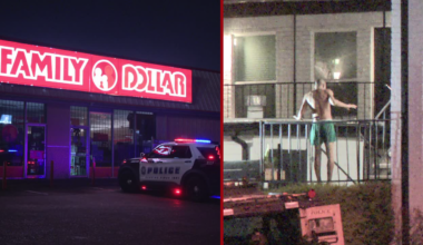 Suspect arrested in SWAT standoff after slapping woman, firing at dog of bystander who intervened: police