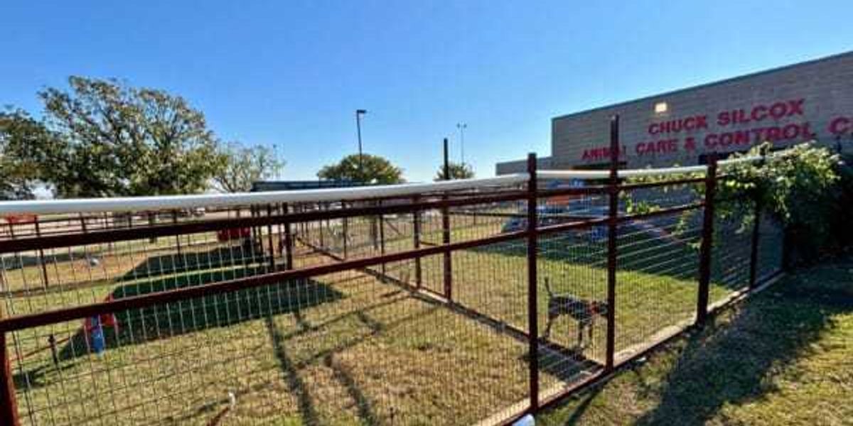 Generous donation transforms play yard at Fort Worth shelter