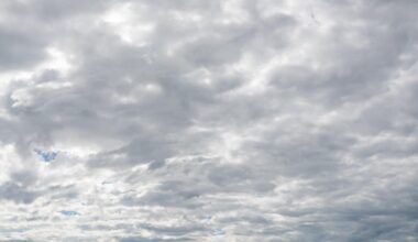 Cold morning, cloudy afternoon in North Texas Friday before nice weekend weather