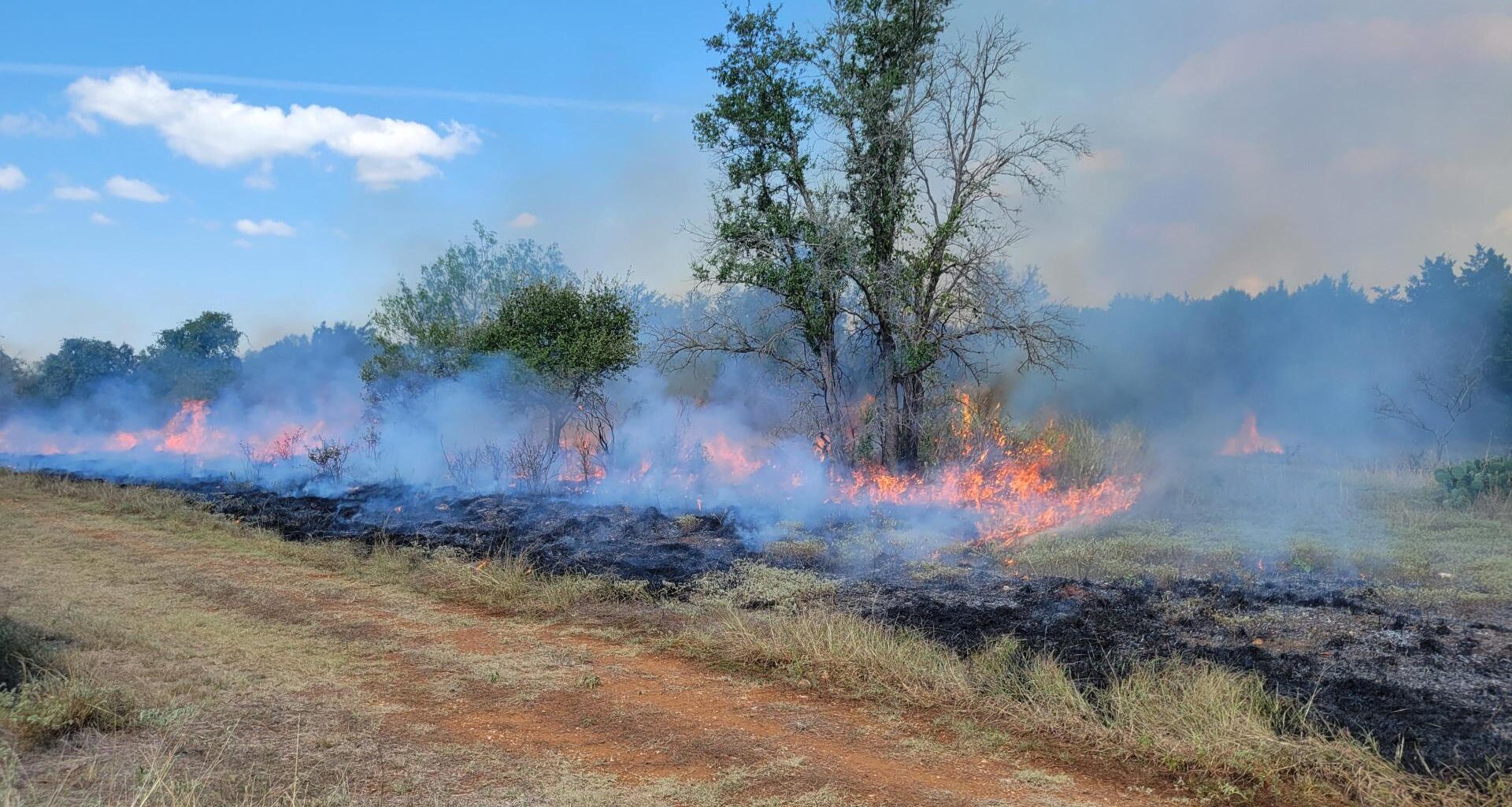 Austin Reacts to Greater Wildfire Risk • The Austin Chronicle