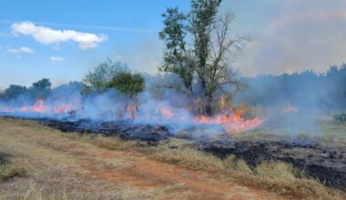 Austin Reacts to Greater Wildfire Risk • The Austin Chronicle