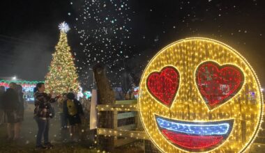 Lights On The Farm Is The Holiday Tradition Plano Families Don’t Skip - Local Profile