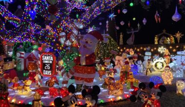Holiday Magic Takes Over Biscayne Drive In Plano - Local Profile