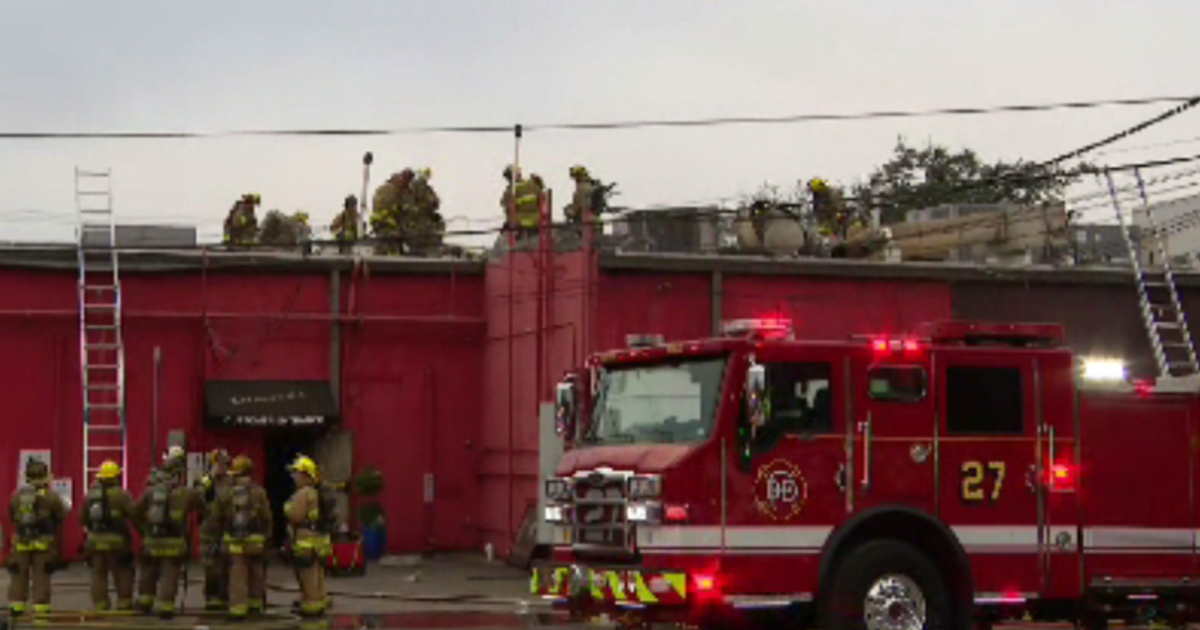 At least 4 businesses damaged after fire at Dallas shopping center, fire officials say