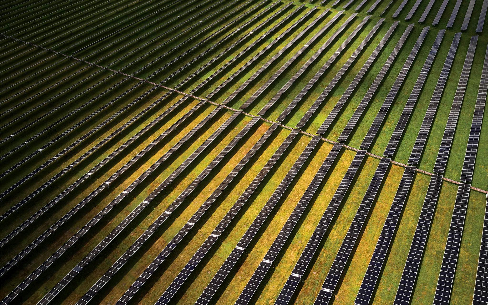 aerial photo of solar panels