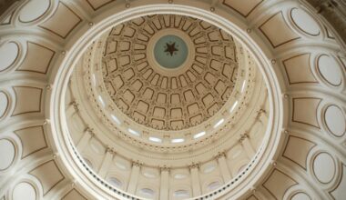 brown and white dome ceiling