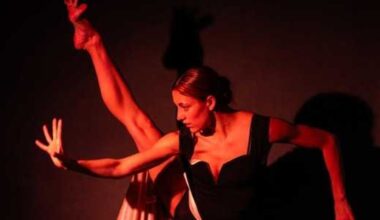 ISHIDA Dance Company presents Rara avis