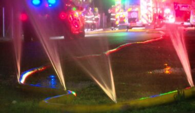 Woman arrested for stabbing a fire hose while Dallas firefighters battled blaze