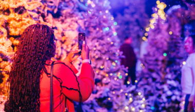 Top 10 Things To Do This Week In Plano, Frisco, The Colony And Beyond [Dec. 22-25, 2025] - Local Profile